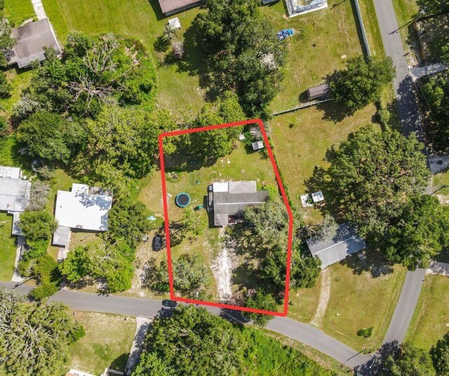 34781 Gardenia Way, Dade City, FL 33523 - photo 9