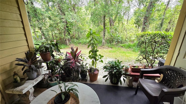 8630 Mallard Reserve Dr Unit 105, Tampa, FL 33614 - photo 20