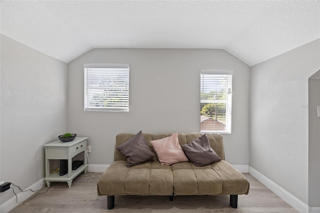 1048 W Lime St, Lakeland, FL 33815 - living area featuring vaulted ceiling, light wood-type flooring, and a textured ceiling