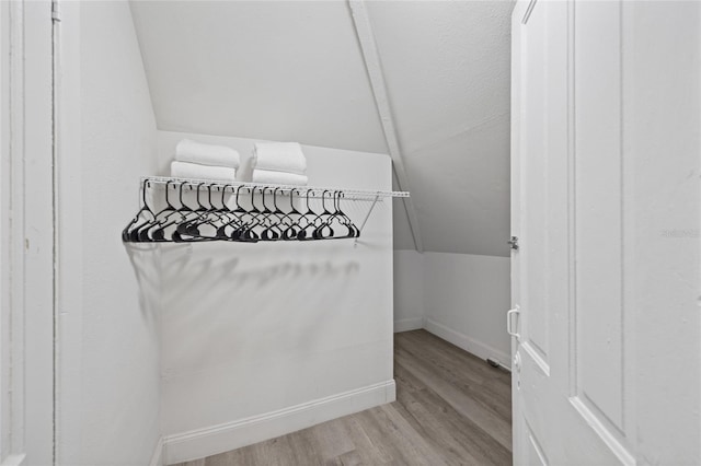 1048 W Lime St, Lakeland, FL 33815 - walk in closet featuring light wood finished floors and vaulted ceiling