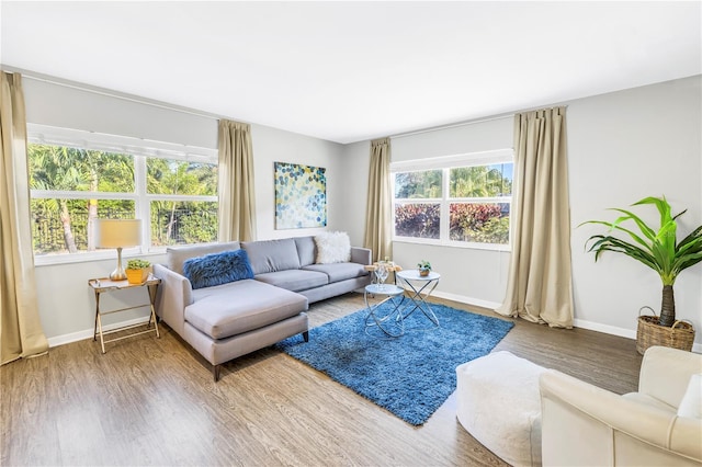 610 Cordova Blvd NE, Saint Petersburg, FL 33704 - living room featuring wood finished floors and baseboards