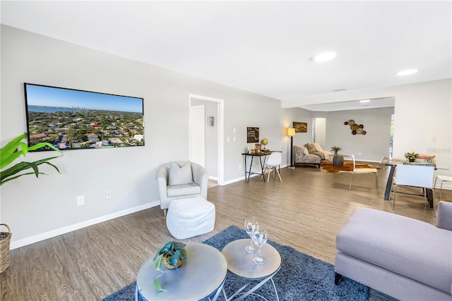 610 Cordova Blvd NE, Saint Petersburg, FL 33704 - living room featuring wood finished floors and baseboards
