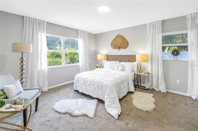 610 Cordova Blvd NE, Saint Petersburg, FL 33704 - carpeted bedroom with baseboards