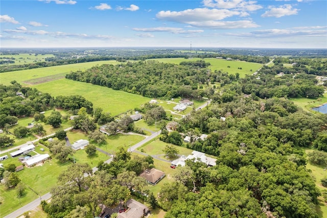 11317 Fort King Rd, Dade City, FL 33525 - photo 27