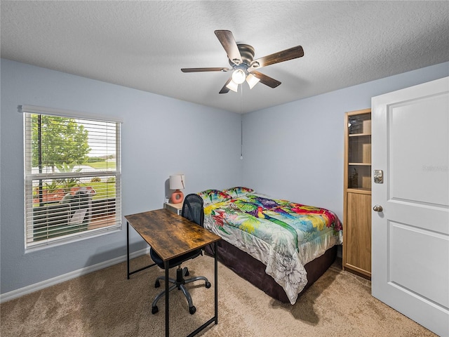 636 Olive Conch St, Ruskin, FL 33570 - photo 23