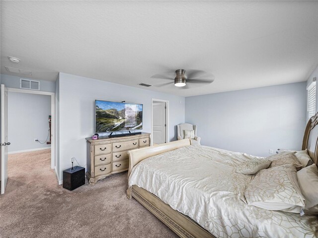 636 Olive Conch St, Ruskin, FL 33570 - photo 29