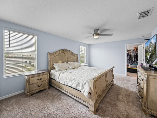 636 Olive Conch St, Ruskin, FL 33570 - photo 30