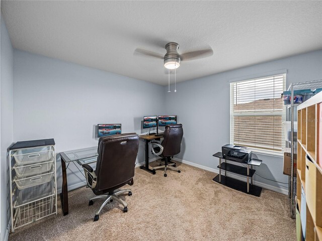 636 Olive Conch St, Ruskin, FL 33570 - photo 39
