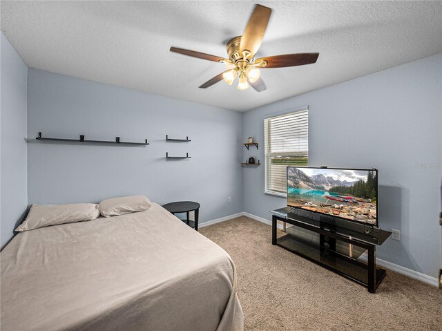 636 Olive Conch St, Ruskin, FL 33570 - photo 41