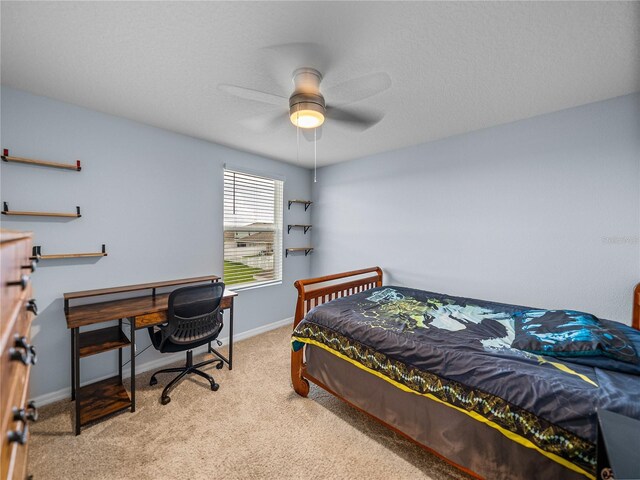 636 Olive Conch St, Ruskin, FL 33570 - photo 43
