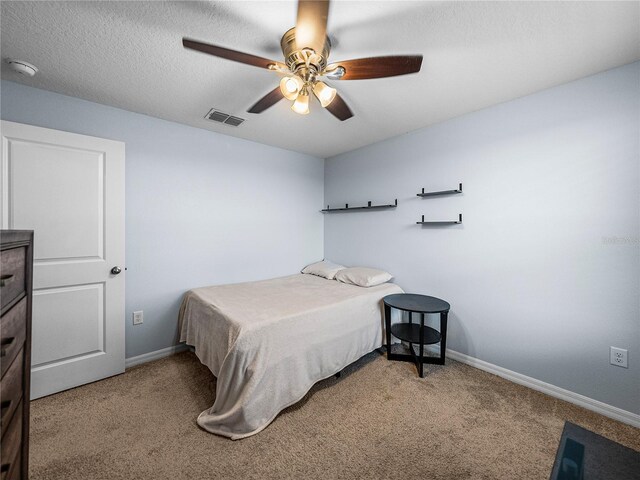 636 Olive Conch St, Ruskin, FL 33570 - photo 46
