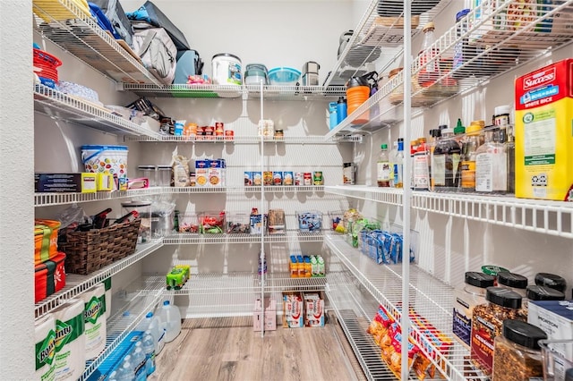 6879 Talamore Dr, Wesley Chapel, FL 33545 - view of pantry