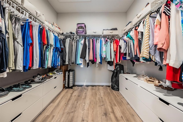 6879 Talamore Dr, Wesley Chapel, FL 33545 - spacious closet with wood finished floors