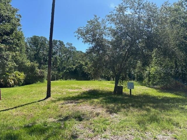 17723 Royal Eagle Ln, Lutz, FL 33549
