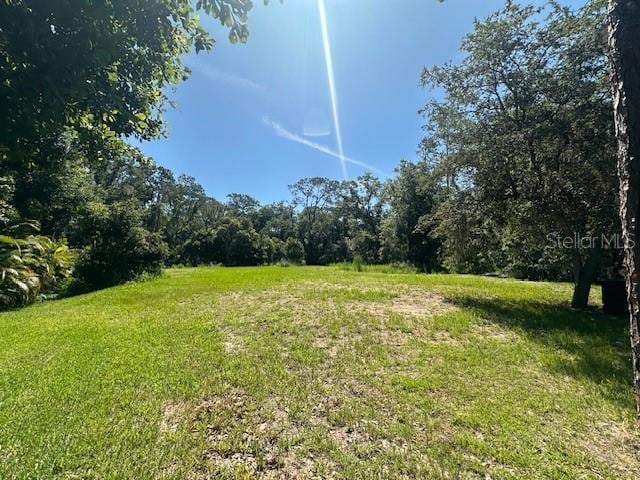 17723 Royal Eagle Ln, Lutz, FL 33549