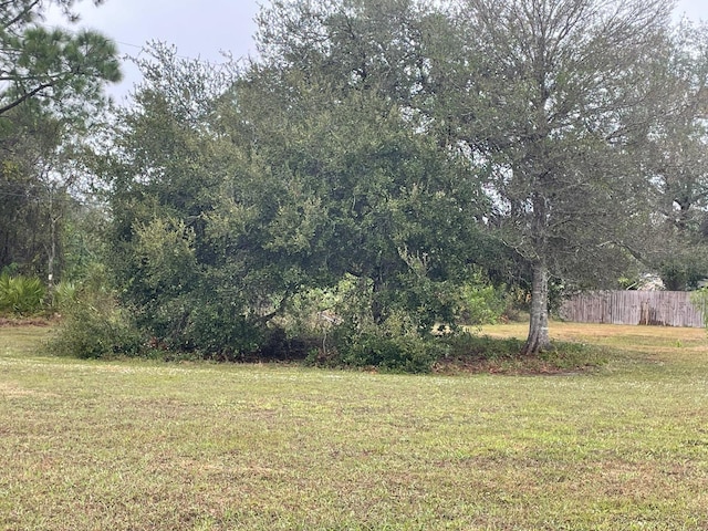 315 Fifth Ave, Lehigh Acres, FL 33936 - photo 59