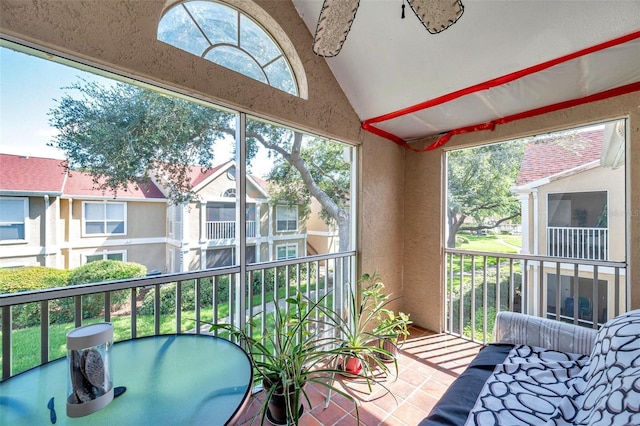 9481 Highland Oak Dr Unit 806, Tampa, FL 33647 - photo 18