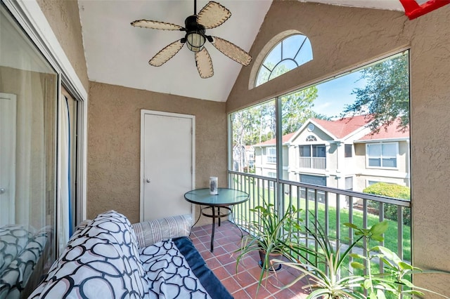 9481 Highland Oak Dr Unit 806, Tampa, FL 33647 - photo 20