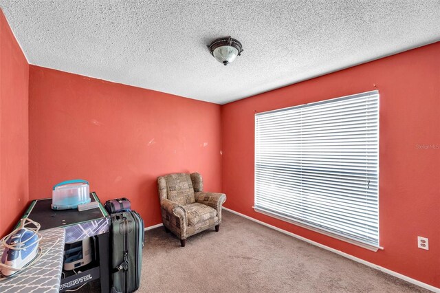 9481 Highland Oak Dr Unit 806, Tampa, FL 33647 - photo 28