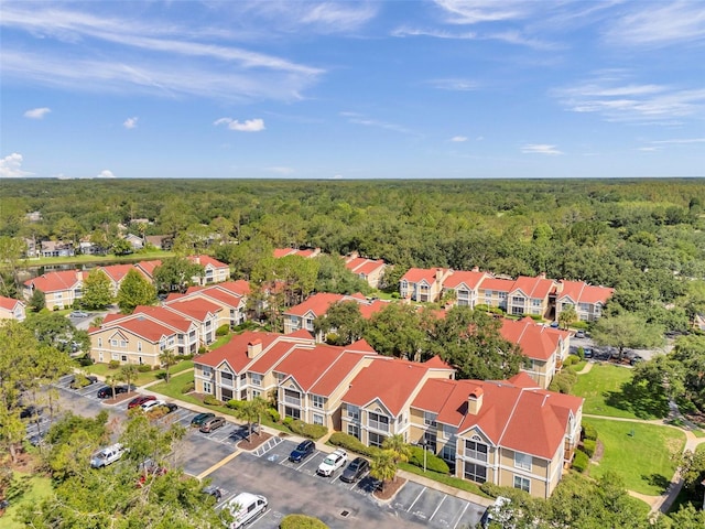 9481 Highland Oak Dr Unit 806, Tampa, FL 33647 - photo 41
