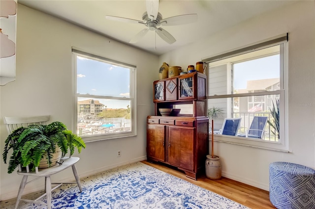 5722 Biscayne Ct Unit 107, New Port Richey, FL 34652 - home office featuring ceiling fan and wood finished floors