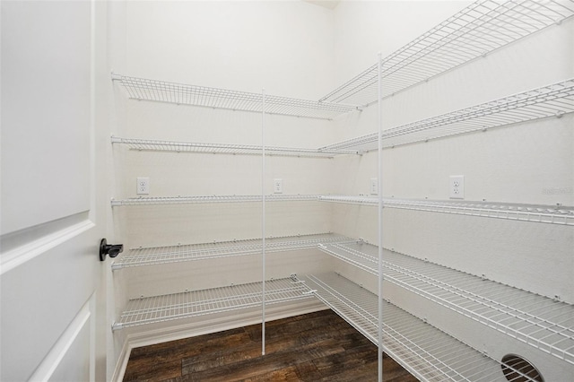 19209 Long Lake Ranch Blvd, Lutz, FL 33558 - view of pantry