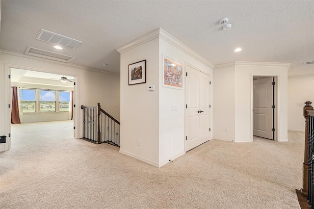19209 Long Lake Ranch Blvd, Lutz, FL 33558 - corridor featuring an upstairs landing, carpet floors, ornamental molding, a textured ceiling, and attic access