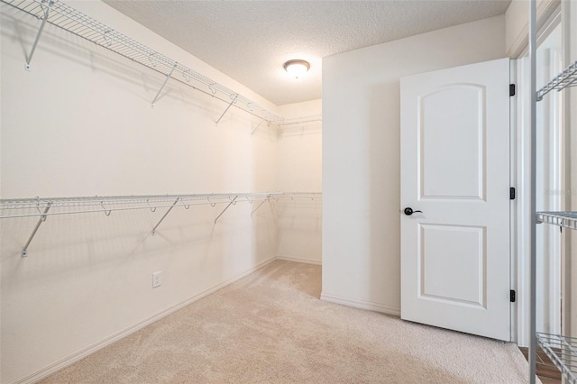 19209 Long Lake Ranch Blvd, Lutz, FL 33558 - spacious closet with carpet