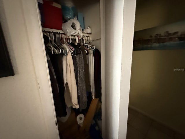 7206 Reindeer Rd, Tampa, FL 33619 - view of closet