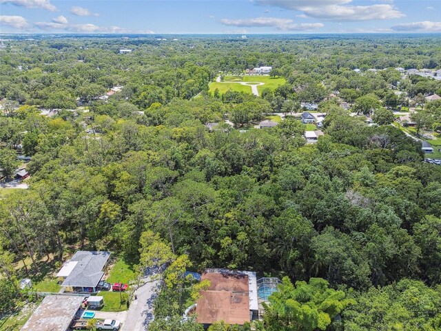 1402 E Mimosa Dr, Plant City, FL 33563 - photo 66