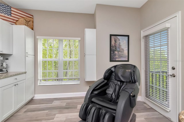 6513 Sand Shore Ln, New Port Richey, FL 34652 - sitting room featuring healthy amount of natural light and light wood-style flooring