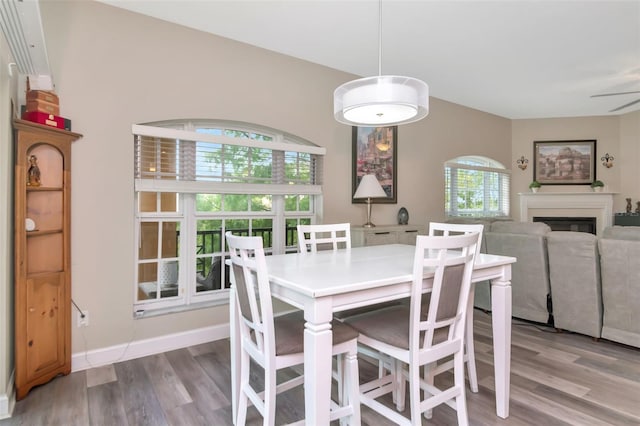 6513 Sand Shore Ln, New Port Richey, FL 34652 - dining space with wood finished floors, a glass covered fireplace, and ceiling fan