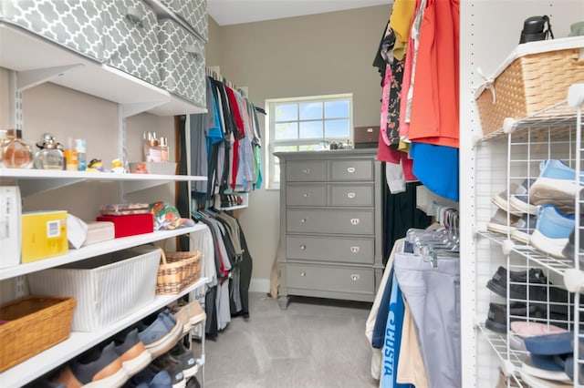 6513 Sand Shore Ln, New Port Richey, FL 34652 - walk in closet with light colored carpet