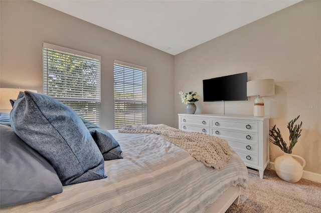 5320 Morey Farms Loop, Palmetto, FL 34221 - bedroom with light carpet and baseboards