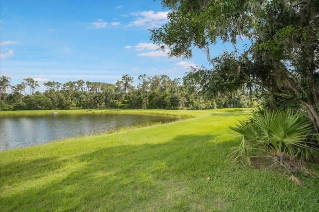 13821 Moonstone Canyon Dr, Riverview, FL 33579 - photo 2