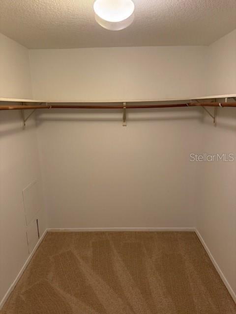 1922 Blue Sage Ct, Brandon, FL 33511 - spacious closet with carpet flooring