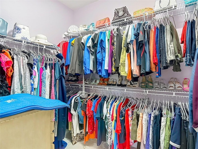 11703 Brighton Knoll Loop, Riverview, FL 33579 - view of spacious closet