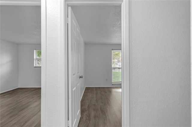 1116 Jadewood Ave, Clearwater, FL 33759 - hall featuring wood finished floors, healthy amount of natural light, a textured ceiling, and a textured wall