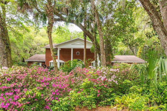 11159 Cindy Dr, Brooksville, FL 34601 - photo 2