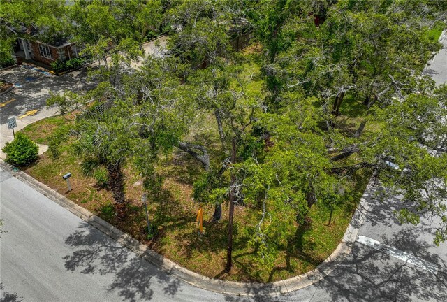 1001 Pinellas St, Clearwater, FL 33756 - photo 2