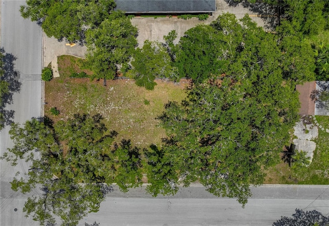 1001 Pinellas St, Clearwater, FL 33756 - photo 4