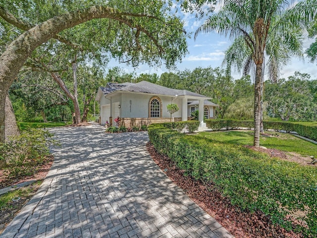 8711 Crescent Forest Blvd, New Port Richey, FL 34654 - single story home featuring an attached garage, decorative driveway, stucco siding, and stone siding