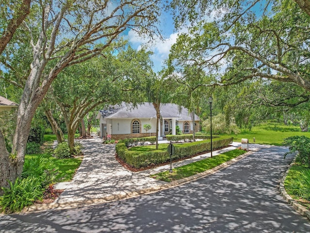 8711 Crescent Forest Blvd, New Port Richey, FL 34654 - ranch-style home with stucco siding, a front lawn, and asphalt driveway