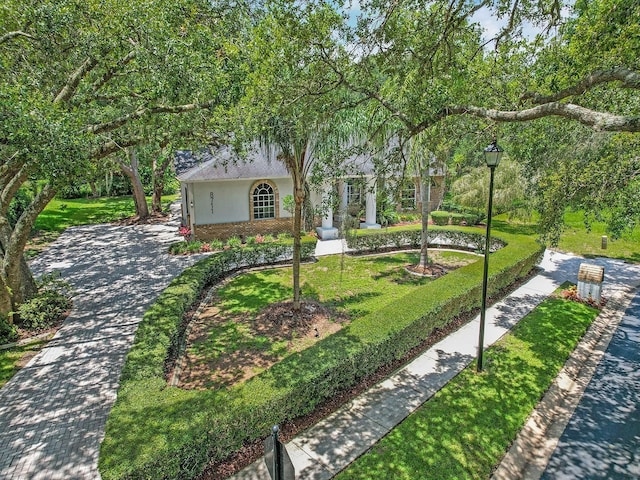 8711 Crescent Forest Blvd, New Port Richey, FL 34654 - view of community featuring a yard