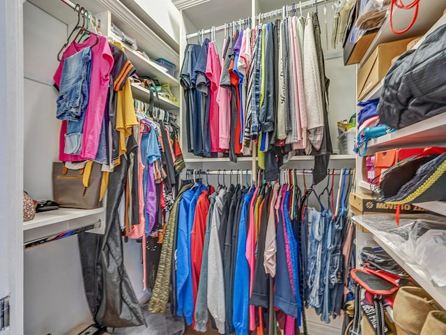 8711 Crescent Forest Blvd, New Port Richey, FL 34654 - view of walk in closet