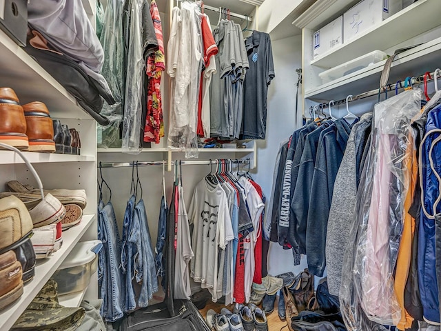8711 Crescent Forest Blvd, New Port Richey, FL 34654 - view of spacious closet