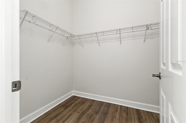 5390 Greystone Dr, Spring Hill, FL 34609 - walk in closet featuring dark wood finished floors