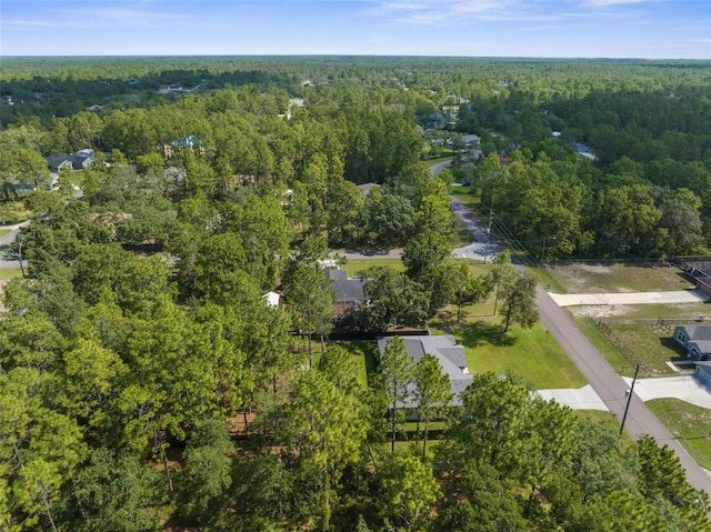 12333 Harris Hawk Rd, Weeki Wachee, FL 34614 - aerial view of a forest