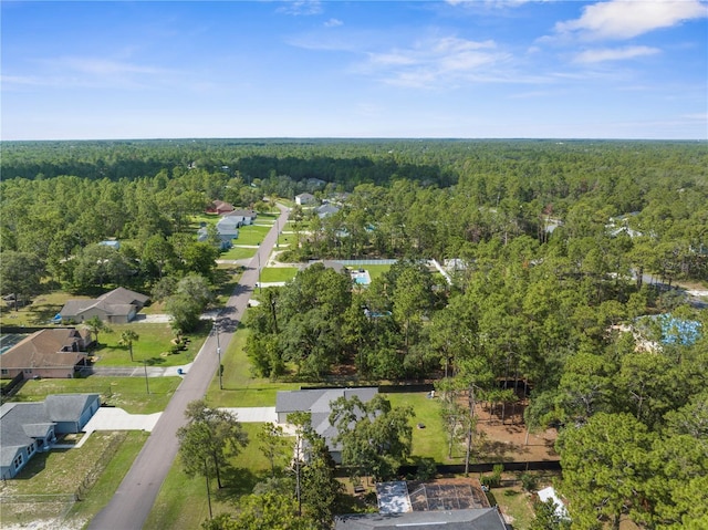 12333 Harris Hawk Rd, Weeki Wachee, FL 34614 - bird's eye view of a forest