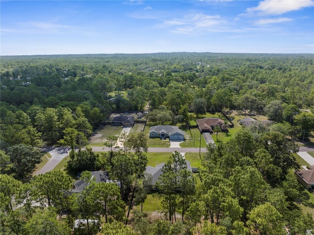 12333 Harris Hawk Rd, Weeki Wachee, FL 34614 - photo 36